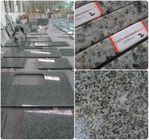 Buena resistencia a la corrosión del granito dureza sólida prefabricada de Worktops de la alta