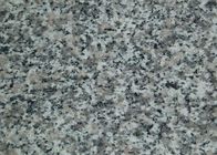 La piedra blanca gris clara beta del granito del blanco gris de G 623 Rosa China Bianco Sardo teja las losas