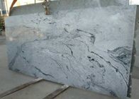 El gris vetea densidad del granito de las tejas 2,95 de piedra naturales de la pared de las losas alta