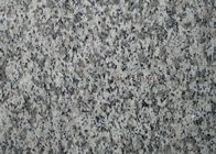 Tejas de la piedra del granito del material de construcción/tamaños de la losa diversos opcionales
