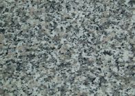 Tejas de la piedra del granito del material de construcción/tamaños de la losa diversos opcionales