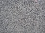 Las losas de piedra naturales de los granitos pulidas acaban las losas los 2cm grandes de 240up X1200up X