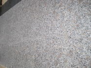 Color gris de la perla de la flor Bianco Antico de la losa material del granito del granito G383